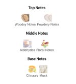 Louis Cardin Charm Femme