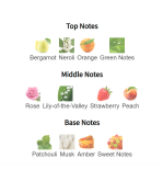 Louis Cardin Scenty Pink Femme