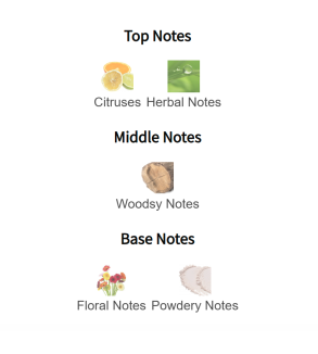 Louis Cardin Scenty Blue Femme