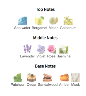 Louis Cardin Empower Noir