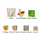 Louis Cardin Credible Homme