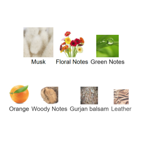 Louis Cardin Credible Homme