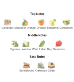 Louis Cardin Signature Homme