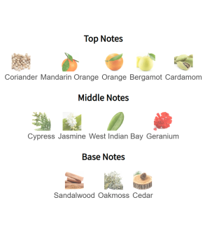 Louis Cardin Signature Homme