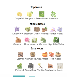 Louis Cardin Jewel Oriental