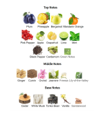 Louis Cardin D'Noire Homme