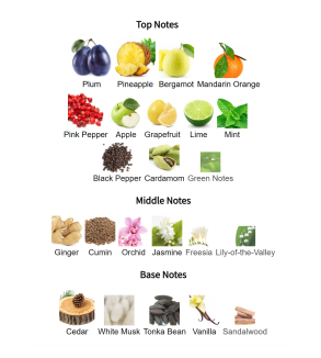 Louis Cardin D'Noire Homme