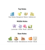 Louis Cardin D'Nuit Homme