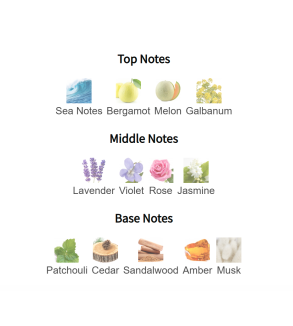 Louis Cardin D'Nuit Homme