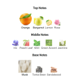 Louis Cardin Musk Al Sabaya Oriental