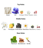 Louis Cardin Musk Al Tahara Oriental