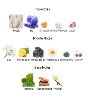 Louis Cardin Musk Al Tahara Oriental