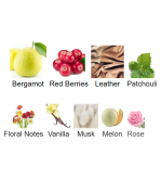 Louis Cardin Credible Noir Homme