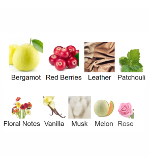 Louis Cardin Credible Noir Homme