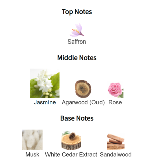 Louis Cardin Credible Oud