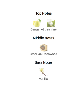 Louis Cardin Midnight Homme