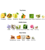 Louis Cardin Exotic Scent Homme