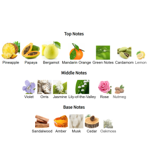 Louis Cardin Exotic Scent Homme