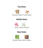 Louis Cardin Fashion Femme