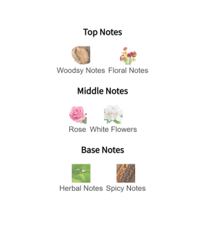 Louis Cardin Fashion Femme