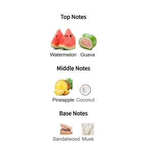 Louis Cardin Honour Femme