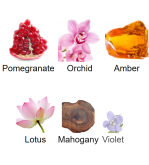 Louis Cardin Compassion Femme