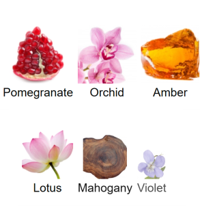 Louis Cardin Compassion Femme