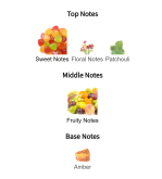 Louis Cardin Compassion 2-Irresisble Femme Women