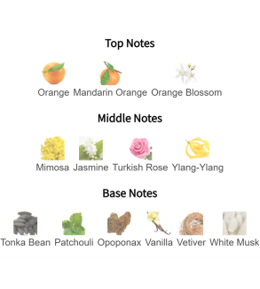 Louis Cardin Femtastica Femme