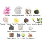 Louis Cardin Fickle Femme