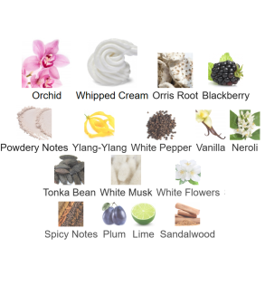 Louis Cardin Fickle Femme