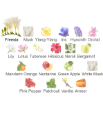 Louis Cardin Ferocious Femme