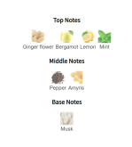 Louis Cardin High Street Homme