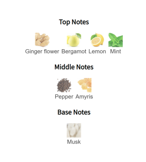 Louis Cardin High Street Homme