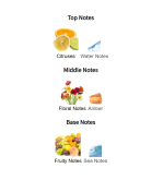 Louis Cardin Illusion Gold