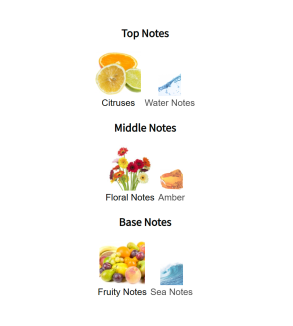 Louis Cardin Illusion Gold