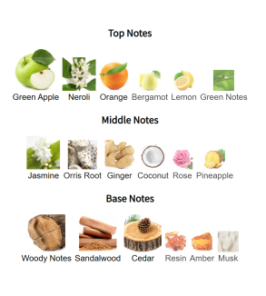 Louis Cardin Bleu Marine Homme